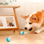 Interactive Pet Ball, Rolls Automatically | Durable Pet Accessory Built for Active, Playful, Energetic Pets