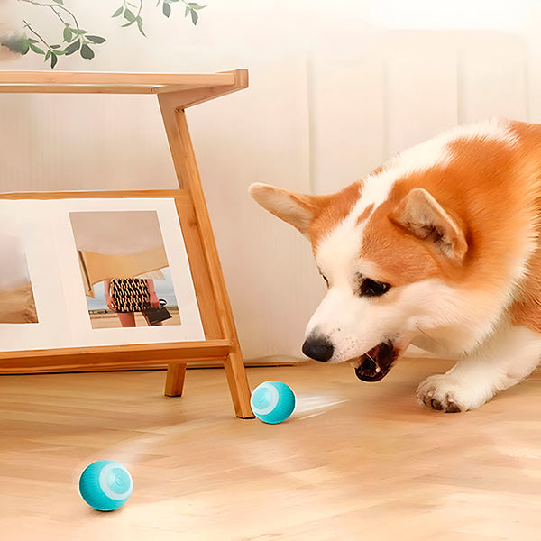 Interactive Pet Ball, Rolls Automatically | Durable Pet Accessory Built for Active, Playful, Energetic Pets