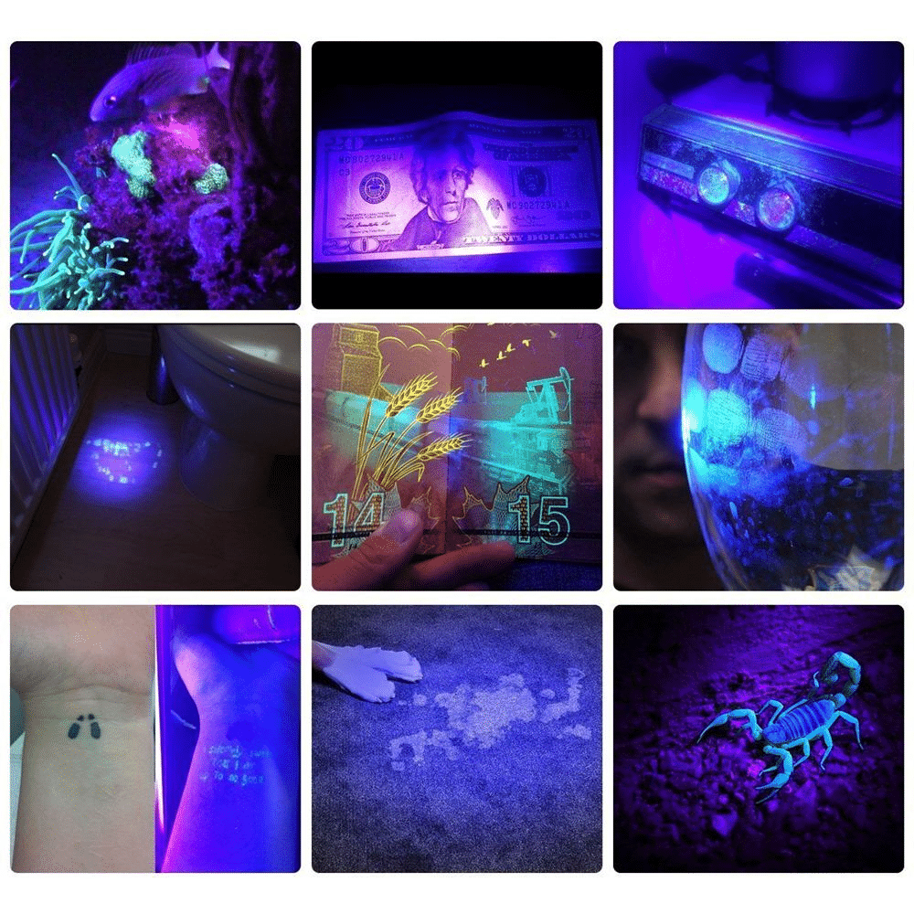 Powerful 21 LED pocket UV lamp | Intelligent Design Meets Reliable, Long-Lasting Everyday Performance