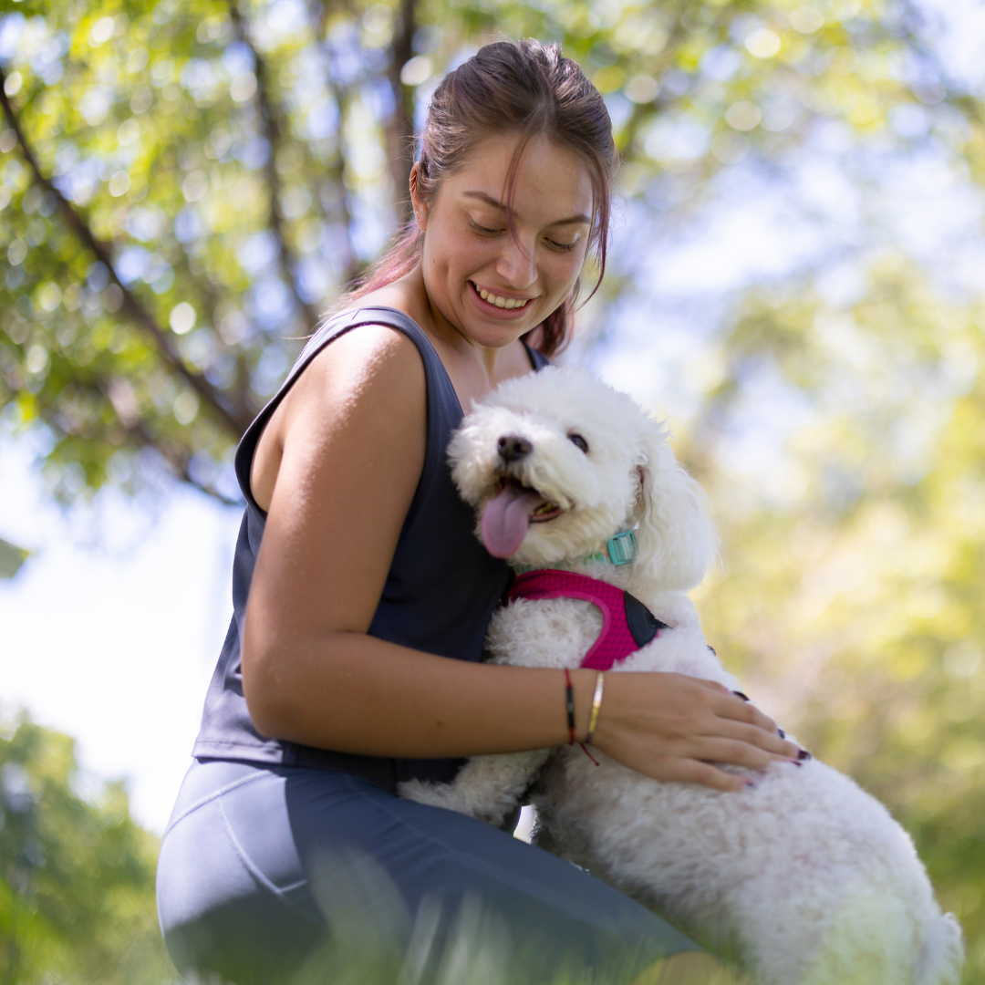 Dogs Hard Floor Single Seat | Durable Pet Accessory Built for Active, Playful, Energetic Pets