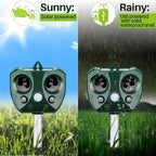 Solar Ultrasonic Animal Repeller | Make Your Garden Beautiful, Functional & the Envy of the Neighbourhood