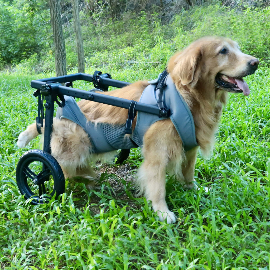 Pet wheelchair
