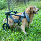 Pet wheelchair