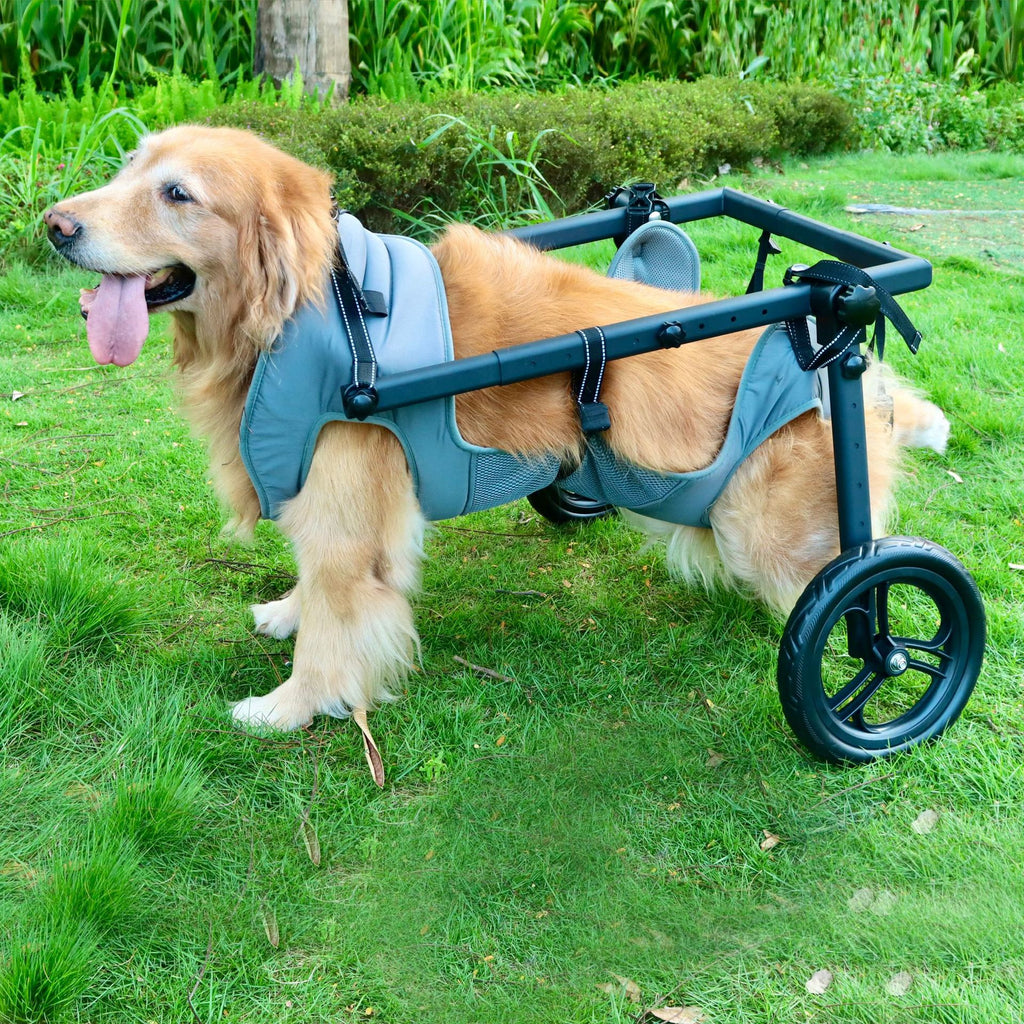 Pet wheelchair
