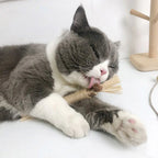 Natural Silvervine Cat Chew Toy | Engaging Kids Toy That Sparks Creativity, Curiosity & Confidence