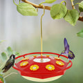 Flower-Shaped Hummingbird Feeder | Vet-Approved Pet Essential for Comfort, Safety & Wellbeing
