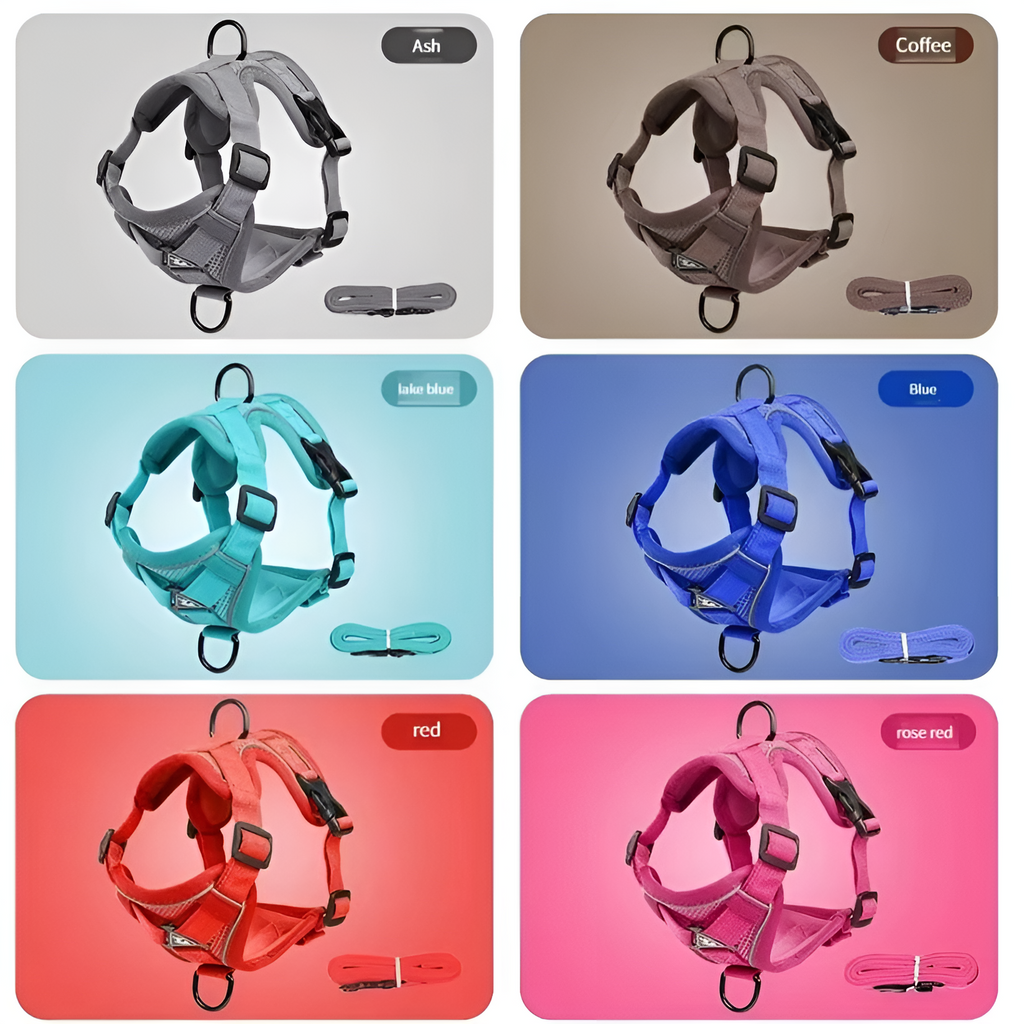 Reflective Cat Harness and Leash Set | Trusted by Pet Owners — Safe, Easy to Use & Built to Last