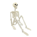 Human Skeleton Halloween Decorations Outdoor | Beautiful, Festive & Built to Last Season After Wonderful Season