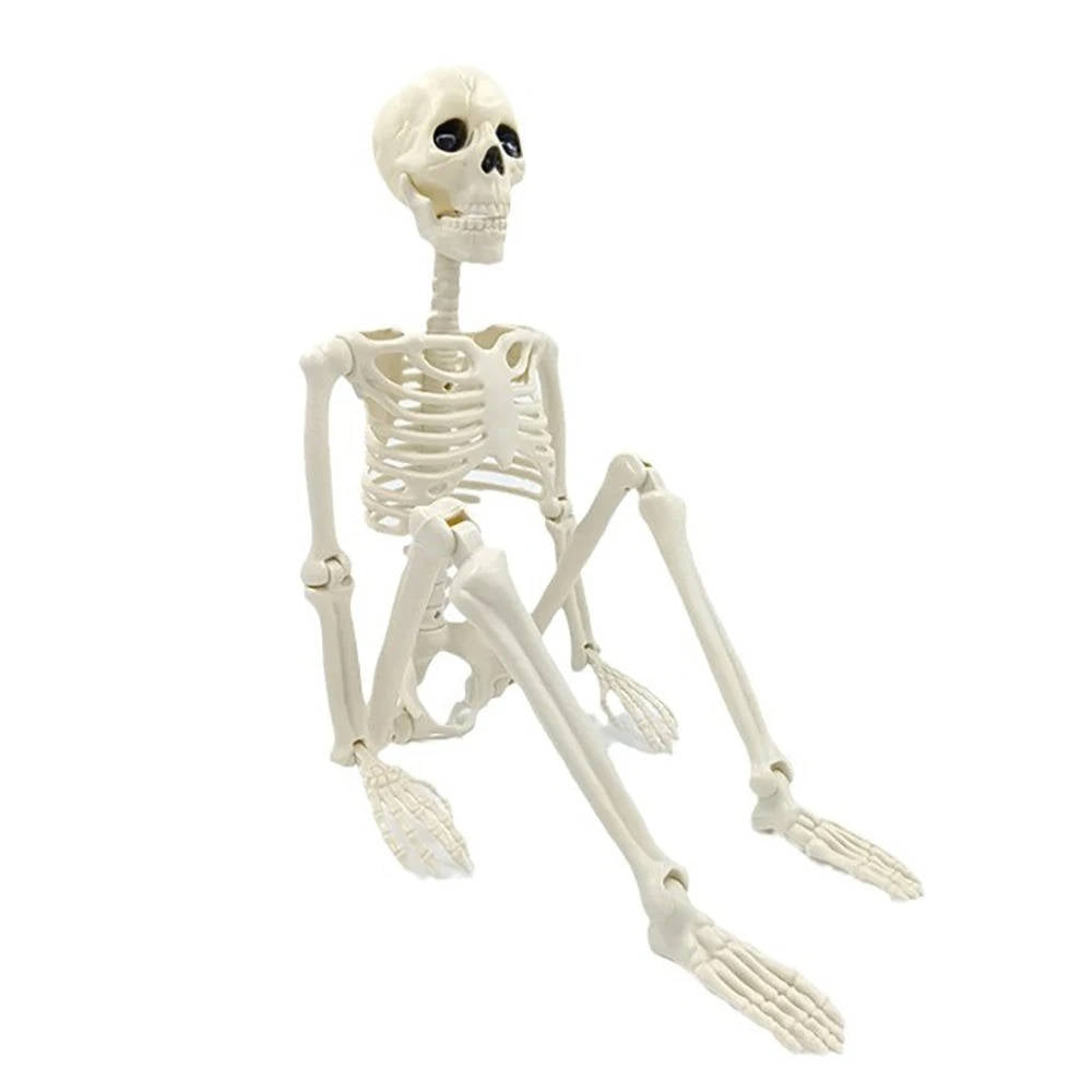 Human Skeleton Halloween Decorations Outdoor | Beautiful, Festive & Built to Last Season After Wonderful Season