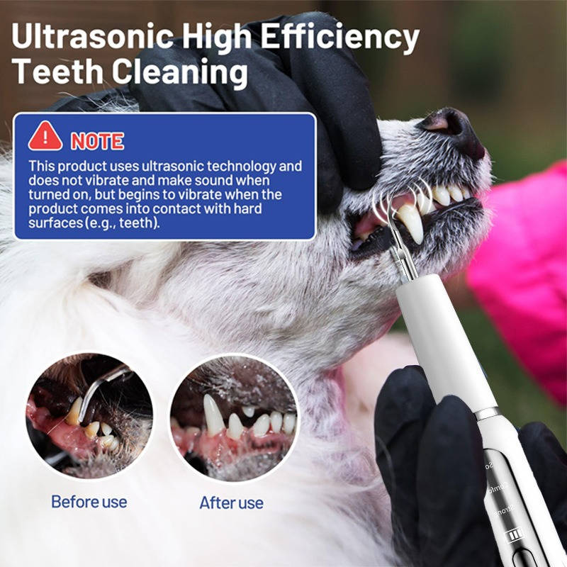 Dog Plaque Tartar Calculus Remover at Home | Trusted by Pet Owners — Safe, Easy to Use & Built to Last