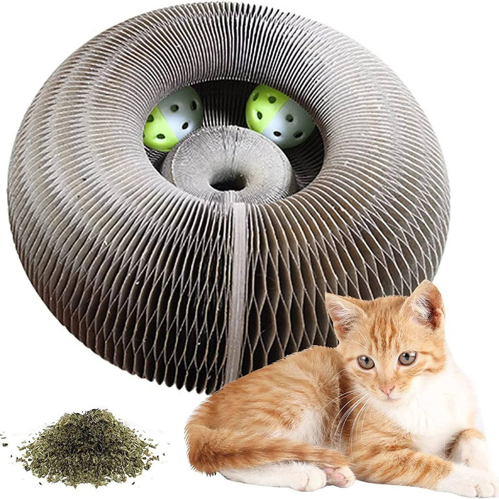 Cat Scratcher with Ball Track | Premium Pet Care — Safe, Durable & Trusted by Pet Owners Everywhere