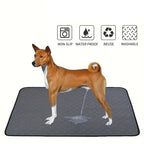 Dog Pee Pads Disposable And Reusable | Vet-Approved Pet Essential for Comfort, Safety & Wellbeing