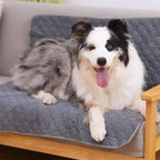Dog Pee Pads Disposable And Reusable | Vet-Approved Pet Essential for Comfort, Safety & Wellbeing
