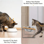Elevated Cat Bowl | Durable Pet Accessory Built for Active, Playful, Energetic Pets