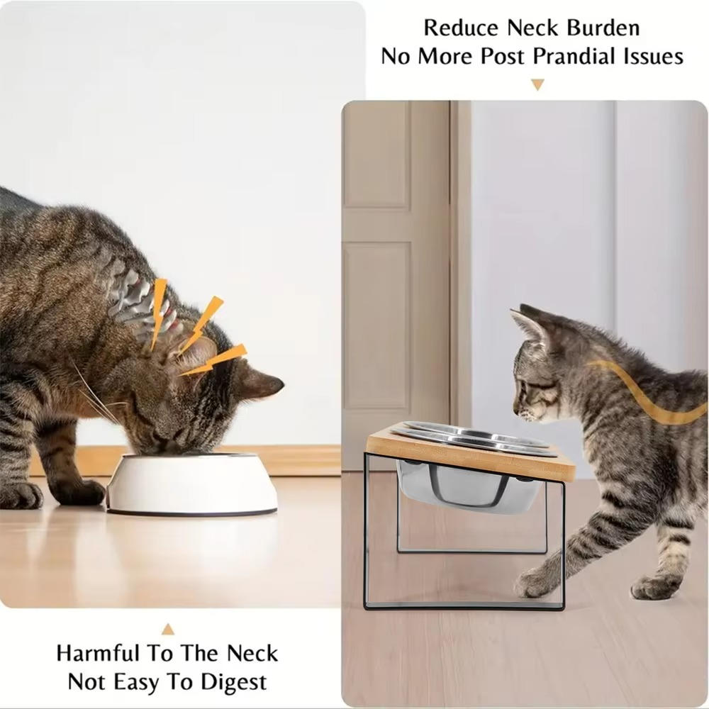 Elevated Cat Bowl | Durable Pet Accessory Built for Active, Playful, Energetic Pets