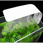 Super Slim Led Fish Tank Aquarium Light Aquatic Plant | Trusted by Pet Owners — Safe, Easy to Use & Built to Last