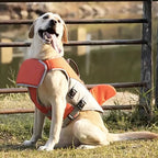 Dog Float Jacket | Durable Pet Accessory Built for Active, Playful, Energetic Pets