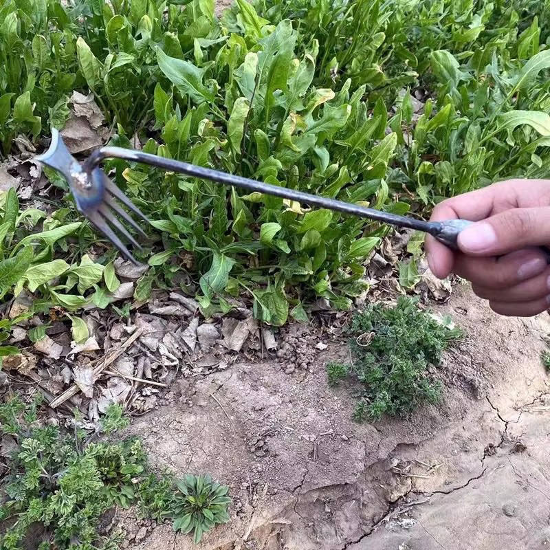 Weed Tool Remover | Practical, Durable & Designed to Make Everyday Life Easier
