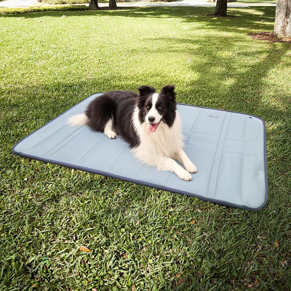 Dog Bag for Travel | Vet-Approved Pet Essential for Comfort, Safety & Wellbeing