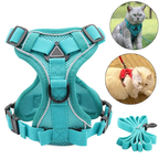 Reflective Cat Harness and Leash Set | Trusted by Pet Owners — Safe, Easy to Use & Built to Last