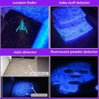 Black Light Flashlight | Built for Adventure — Durable, Reliable & Ready for Anything Outside
