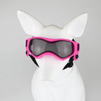 Dog Goggles | Vet-Approved Pet Essential for Comfort, Safety & Wellbeing