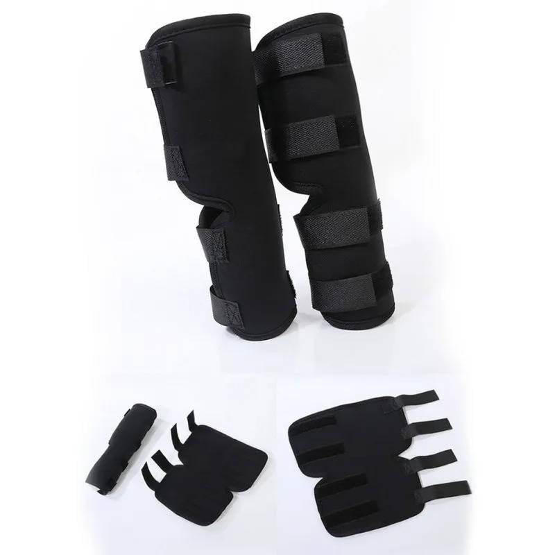Orthopedic Braces For Dogs | Trusted by Pet Owners — Safe, Easy to Use & Built to Last
