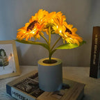 Rechargeable Sunflower Night Light | Smart, Reliable Technology for Easier, More Connected Everyday Living