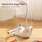 Cat Chew Toys | Award-Winning Toy Design for Kids Who Love to Learn, Build & Play