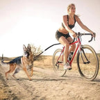 Bike Dog Tow Leash | Vet-Approved Pet Essential for Comfort, Safety & Wellbeing