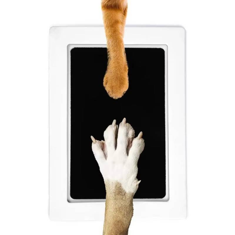 Dog Paw Print Kit | Durable Pet Accessory Built for Active, Playful, Energetic Pets