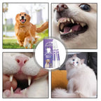 3 Set Dog Oral Repair Gel | Designed for Happy, Healthy, Well-Loved Pets of Every Breed