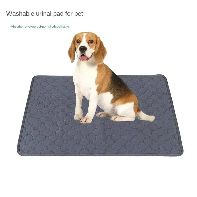 Dog Pee Pads Disposable And Reusable | Vet-Approved Pet Essential for Comfort, Safety & Wellbeing