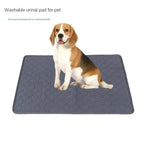 Dog Pee Pads Disposable And Reusable | Vet-Approved Pet Essential for Comfort, Safety & Wellbeing