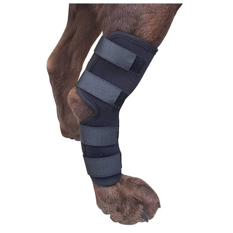 Orthopedic Braces For Dogs | Trusted by Pet Owners — Safe, Easy to Use & Built to Last