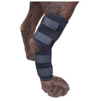 Orthopedic Braces For Dogs | Trusted by Pet Owners — Safe, Easy to Use & Built to Last