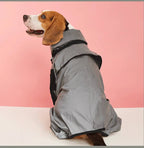 Waterproof Dogs Raincoat | Trusted by Pet Owners — Safe, Easy to Use & Built to Last