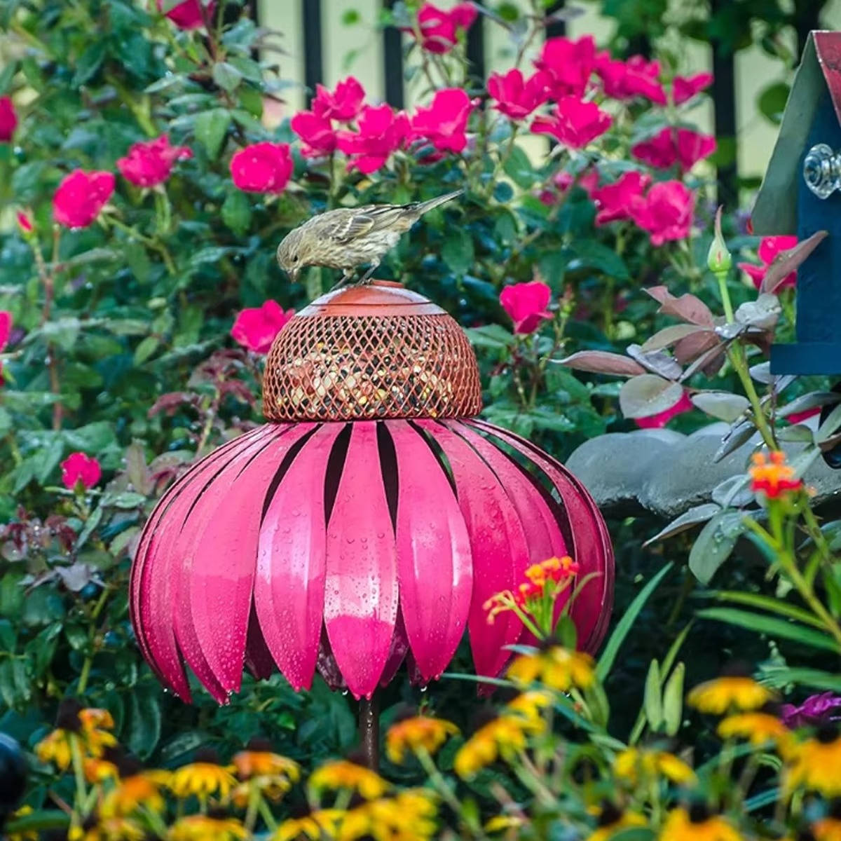 Outdoor Flower Bird Feeder | Trusted by Pet Owners — Safe, Easy to Use & Built to Last