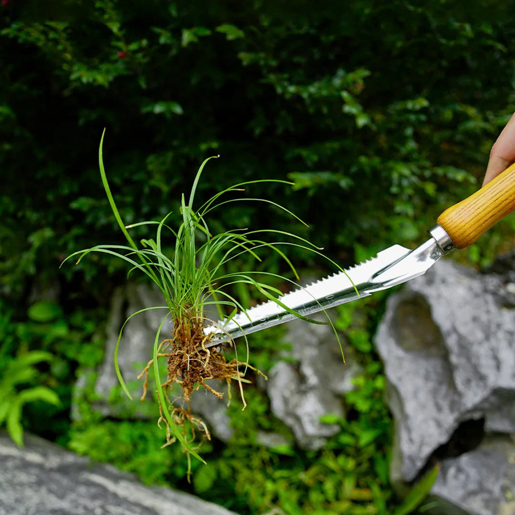 5-in-1 Stainless Steel Weed Puller Tool with Beech Handle | Hardy, Weather-Resistant & Beautifully Designed for Your Outdoor Space