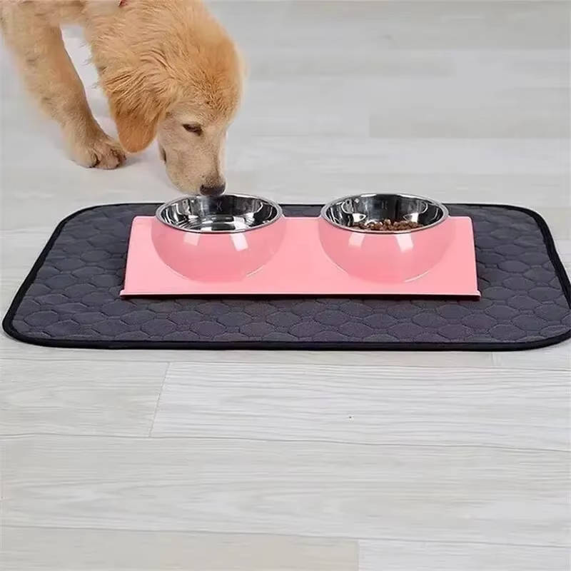 Dog Pee Pads Disposable And Reusable | Vet-Approved Pet Essential for Comfort, Safety & Wellbeing