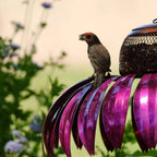 Outdoor Flower Bird Feeder | Trusted by Pet Owners — Safe, Easy to Use & Built to Last