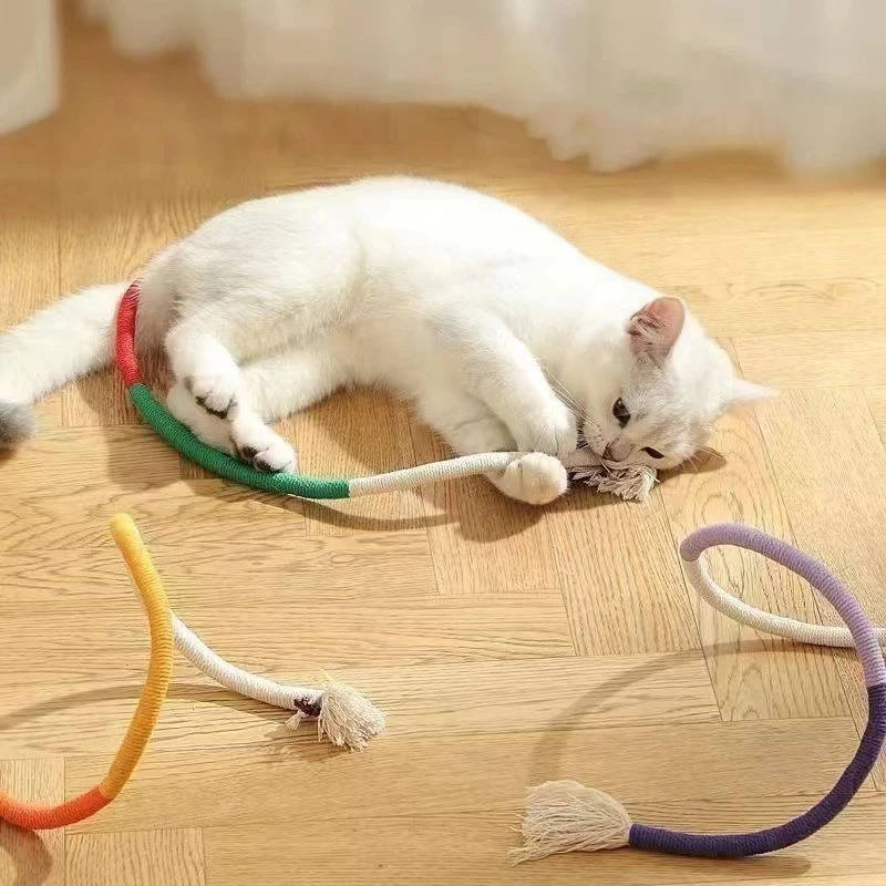 Cat Chew Toys | Award-Winning Toy Design for Kids Who Love to Learn, Build & Play