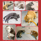 Cat Chew Toys | Award-Winning Toy Design for Kids Who Love to Learn, Build & Play