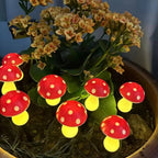LED Solar Lights Outdoor Decorative | Make Your Garden Beautiful, Functional & the Envy of the Neighbourhood