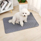Dog Pee Pads Disposable And Reusable | Vet-Approved Pet Essential for Comfort, Safety & Wellbeing