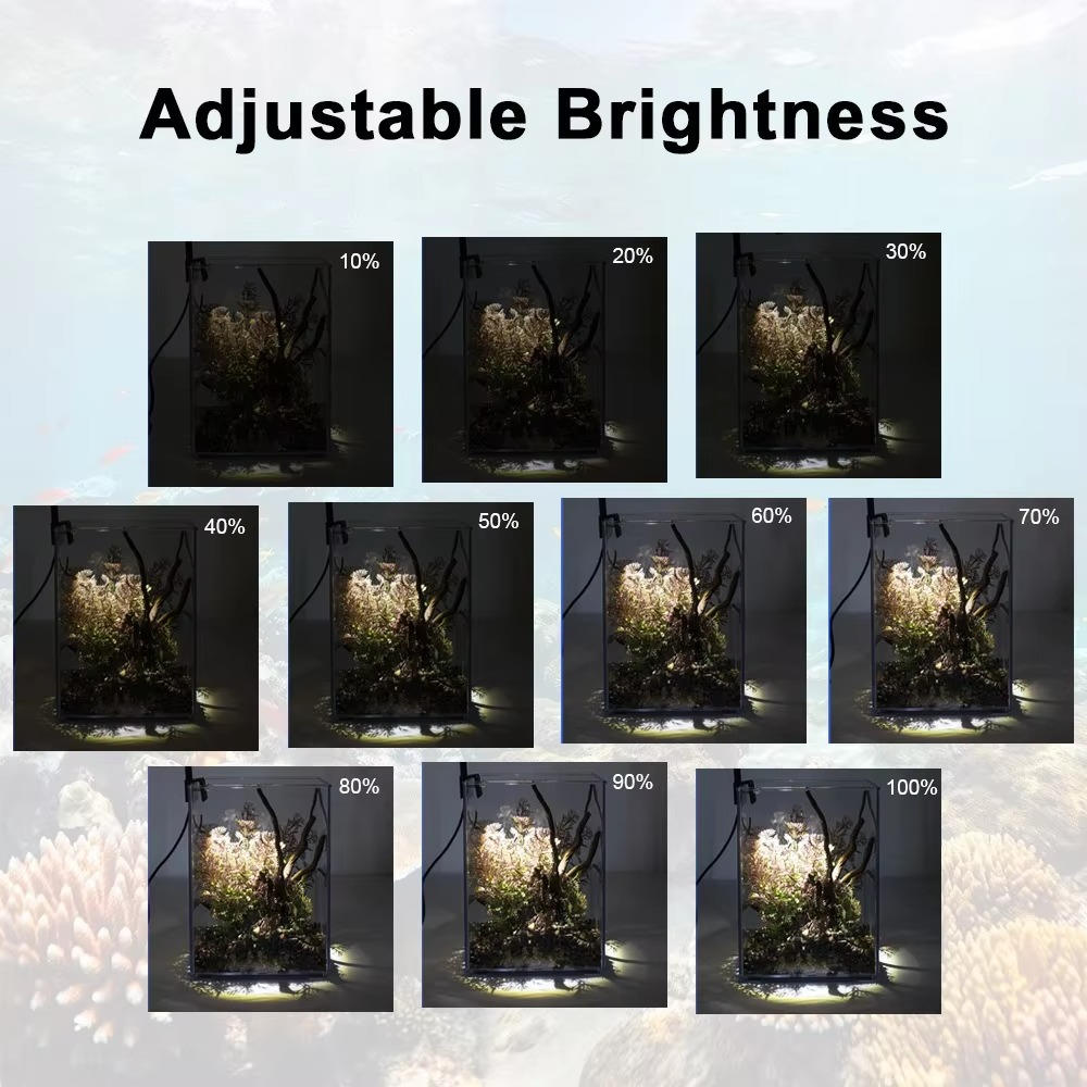 LED Light for Fish Tank | Premium Pet Care — Safe, Durable & Trusted by Pet Owners Everywhere