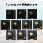 LED Light for Fish Tank | Premium Pet Care — Safe, Durable & Trusted by Pet Owners Everywhere