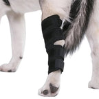 Orthopedic Braces For Dogs | Trusted by Pet Owners — Safe, Easy to Use & Built to Last