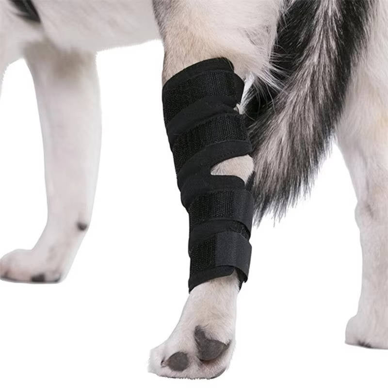 Orthopedic Braces For Dogs | Trusted by Pet Owners — Safe, Easy to Use & Built to Last