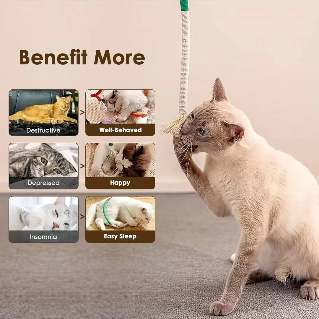Cat Chew Toys | Award-Winning Toy Design for Kids Who Love to Learn, Build & Play